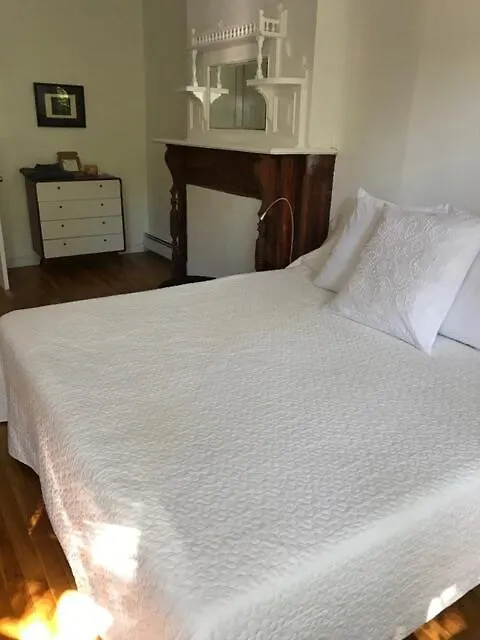 Serene Brooklyn Escape Near Cafes & Park, Sleeps 5 New York Amerikai Egyesült Államok
